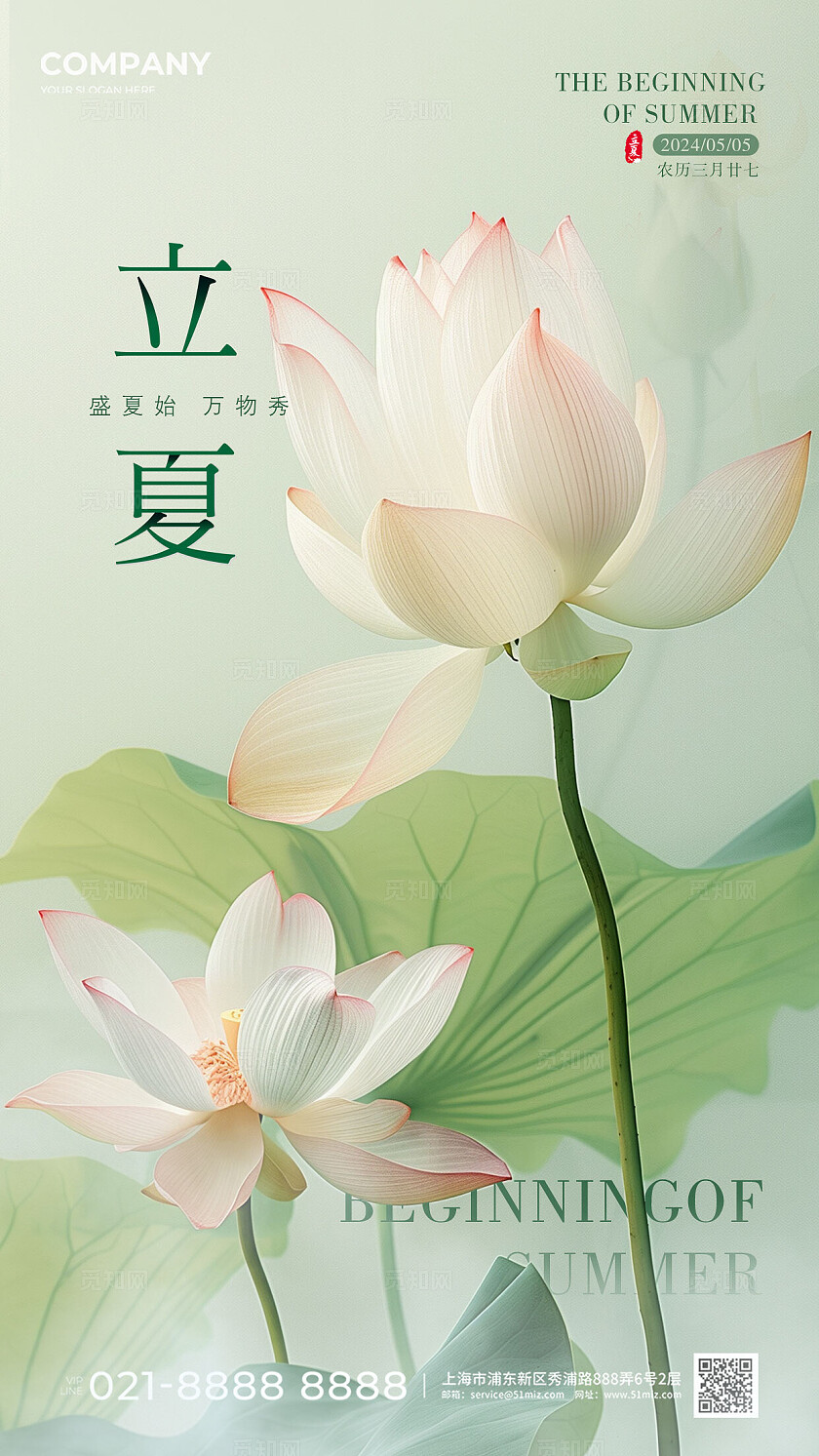 绿色 简约 荷花立夏节气海报