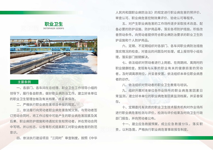 绿色简约大气风世界卫生日宣传册世界卫生日卫生监督画册