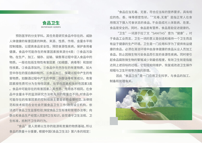 绿色简约大气风世界卫生日宣传册世界卫生日卫生监督画册