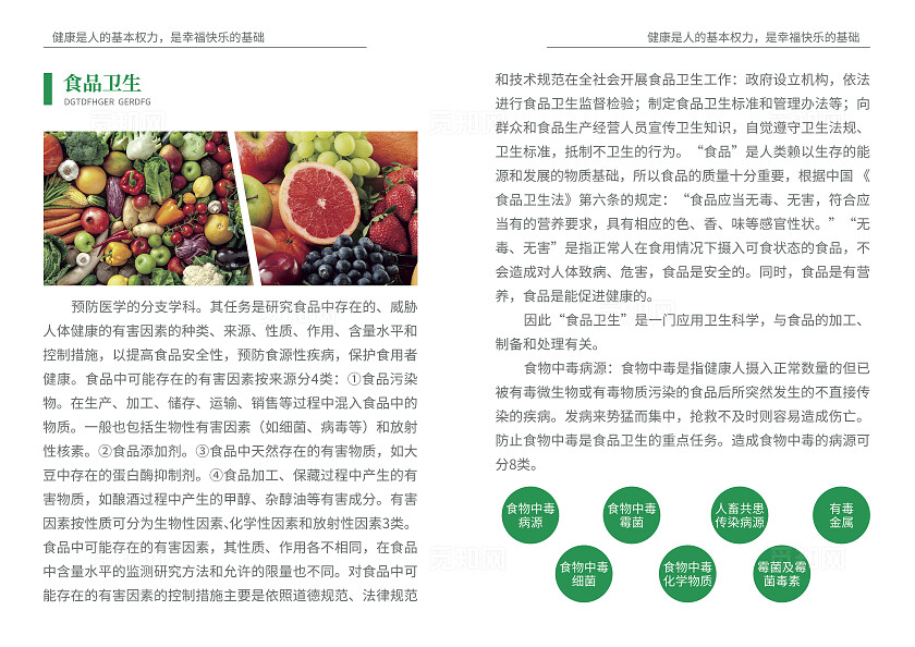 绿色简约大气风世界卫生日宣传册世界卫生日卫生监督画册