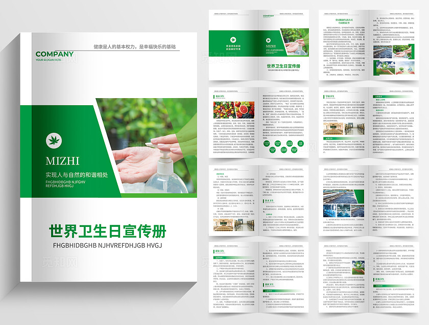 绿色简约大气风世界卫生日宣传册世界卫生日卫生监督画册