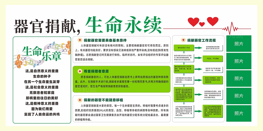 简约器官捐献知识宣传展板