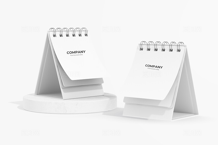 白色纸张册子定制LOGO样机宣传