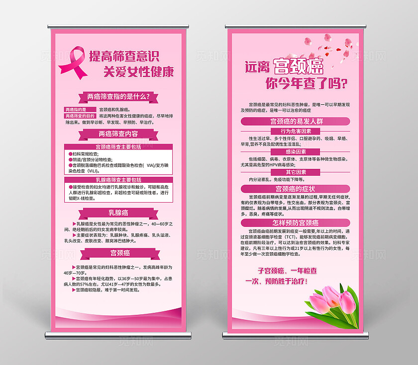 粉色简约提高筛查意识关爱女性健康宫颈癌筛查两癌筛查展架