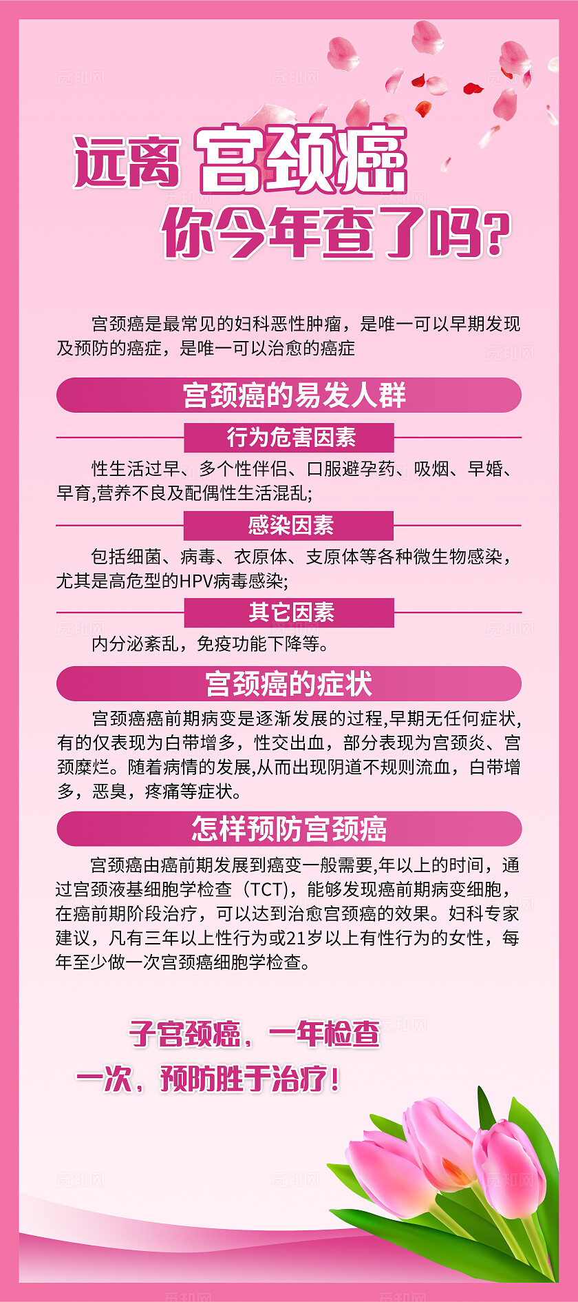 粉色简约提高筛查意识关爱女性健康宫颈癌筛查两癌筛查展架