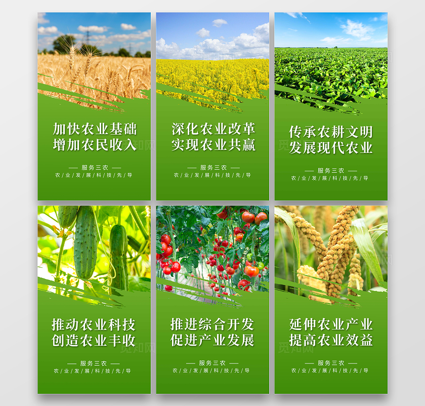 绿色简约现代农业套图