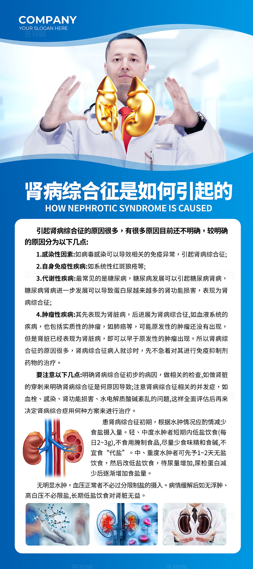 蓝色简约肾脏病血液透析腹膜透析知识宣传展架背景