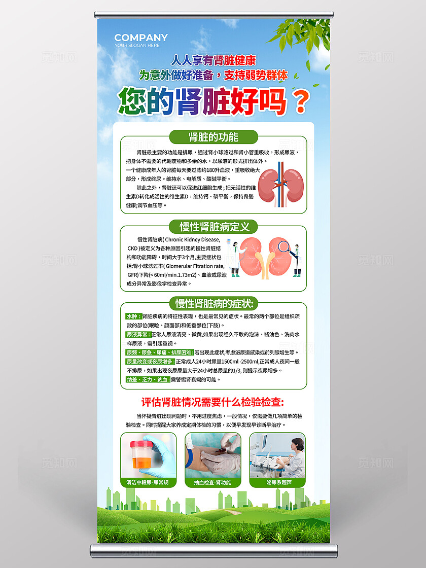 蓝绿色清新肾脏病世界肾脏日知识宣传展架背景