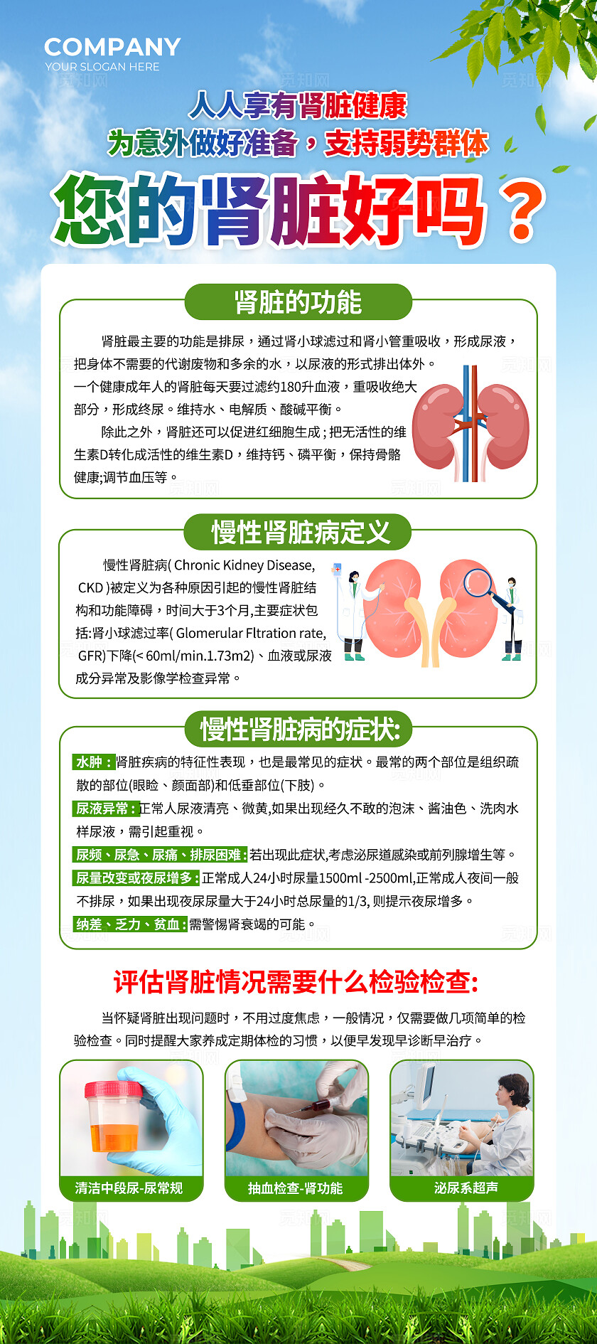 蓝绿色清新肾脏病世界肾脏日知识宣传展架背景