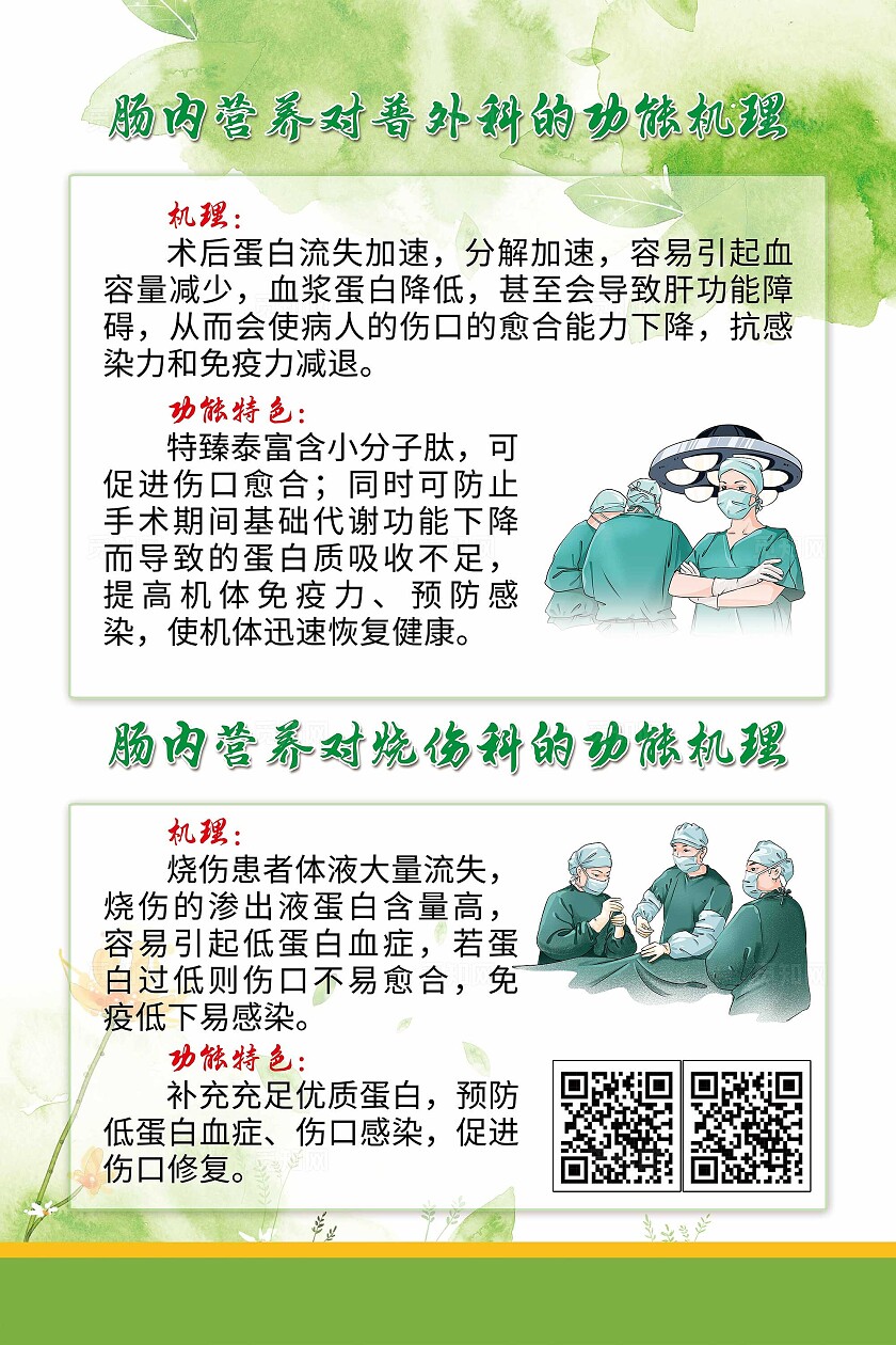 绿色简约风肠内营养功能机理宣传