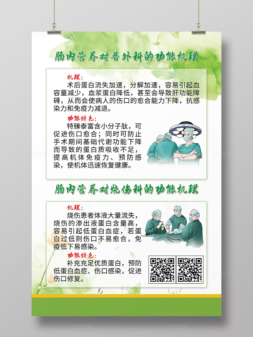 绿色简约风肠内营养功能机理宣传