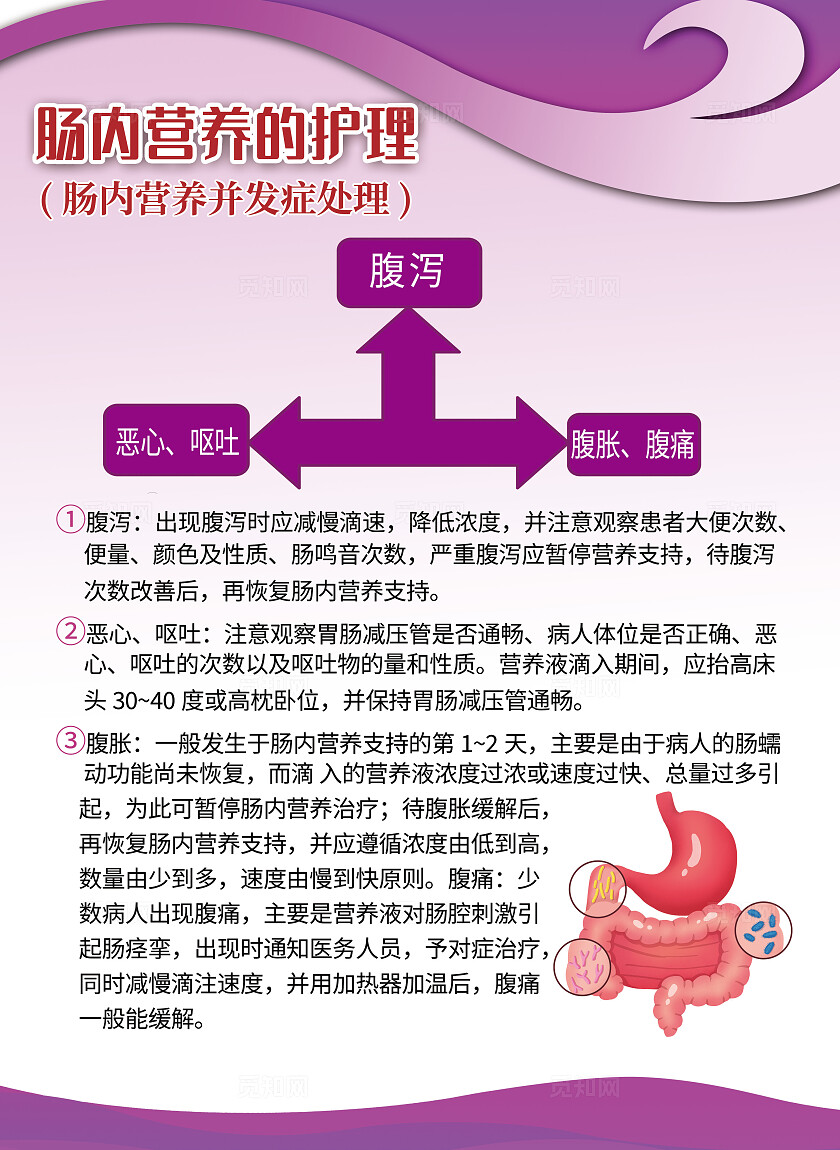紫色简约风肠内营养健康护理宣传海报