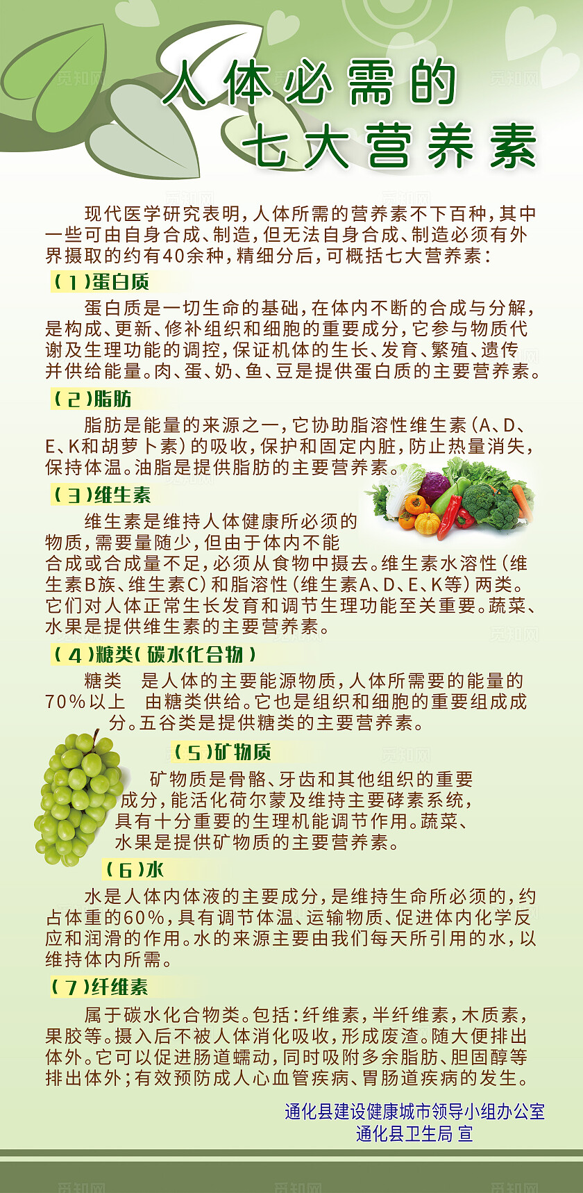 绿色简约风人体必需的七大营养素宣传海报