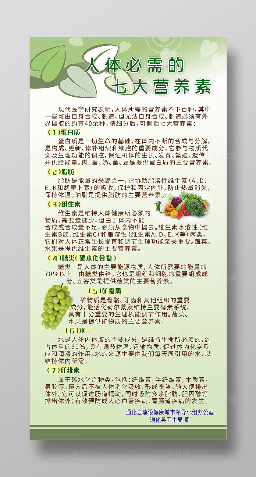 绿色简约风人体必需的七大营养素宣传海报