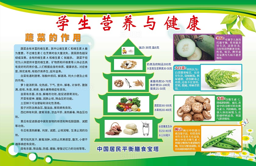 学生营养膳食健康宣传宝塔展板