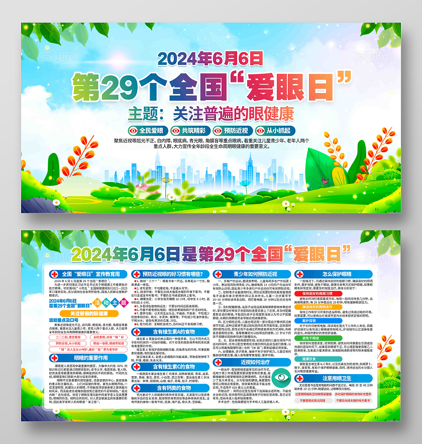 2024年第29个全国爱眼日活动主题爱眼日展板