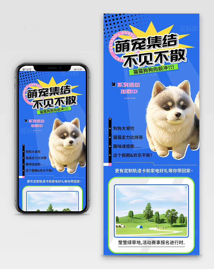 萌宠集结不见不散赛事比拼长图