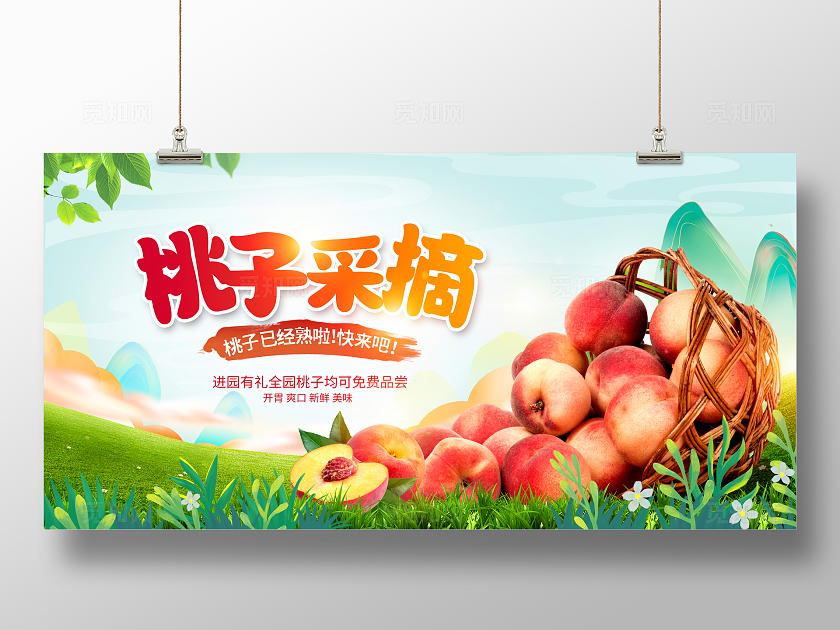 绿色时尚桃子采摘水果采摘水果展板设计