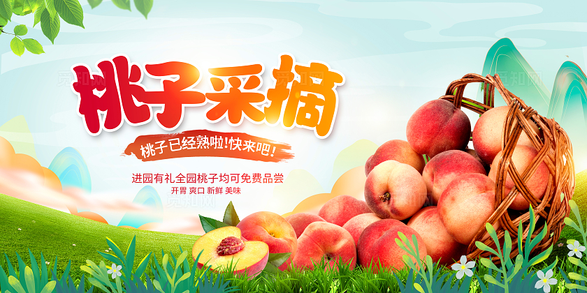 绿色时尚桃子采摘水果采摘水果展板设计