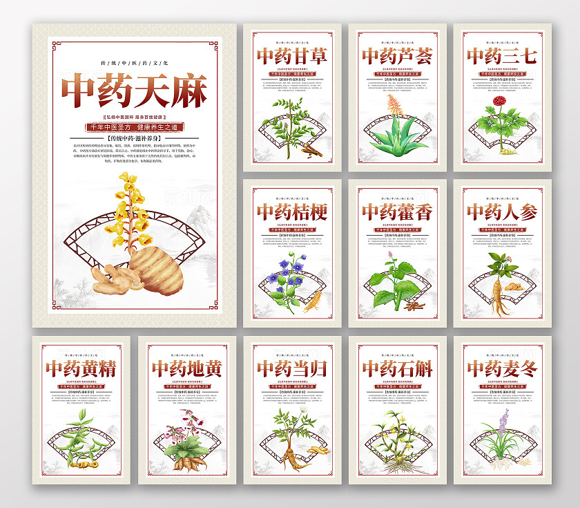 复古大气中医药宣传套图中草药草药