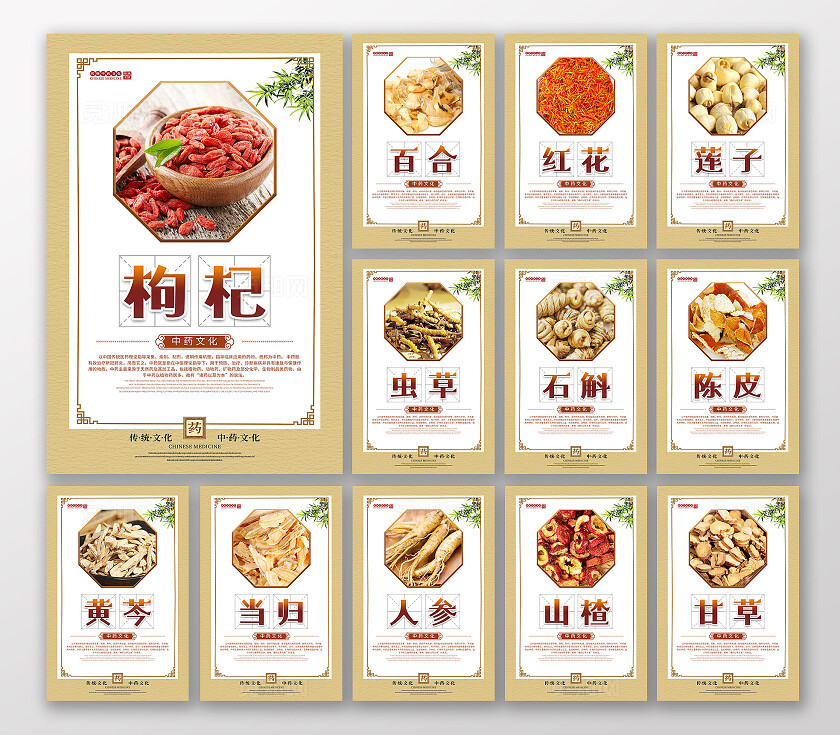 复古大气中医药宣传套图中草药草药