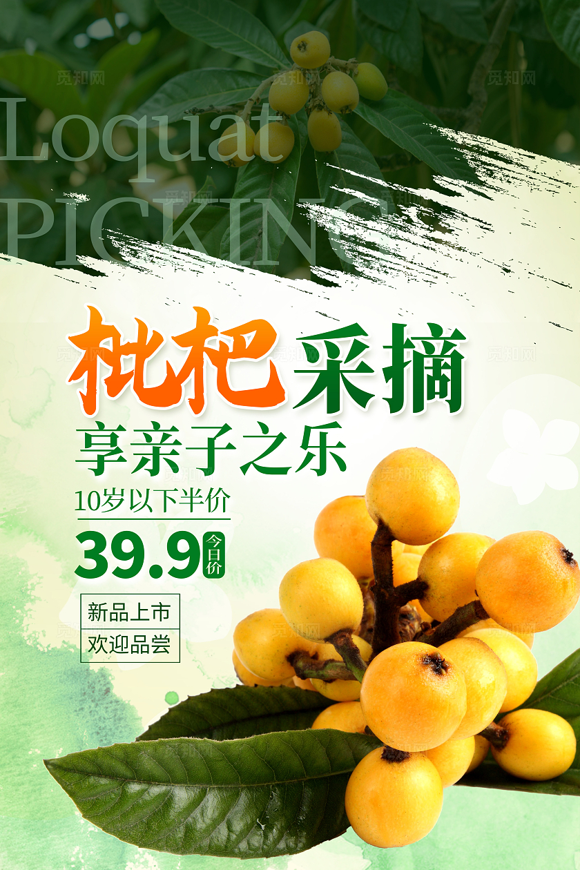 绿色时尚枇杷采摘水果采摘海报设计
