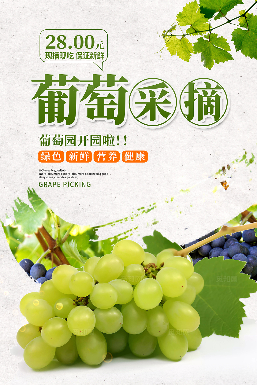 绿色时尚葡萄采摘水果促销海报设计