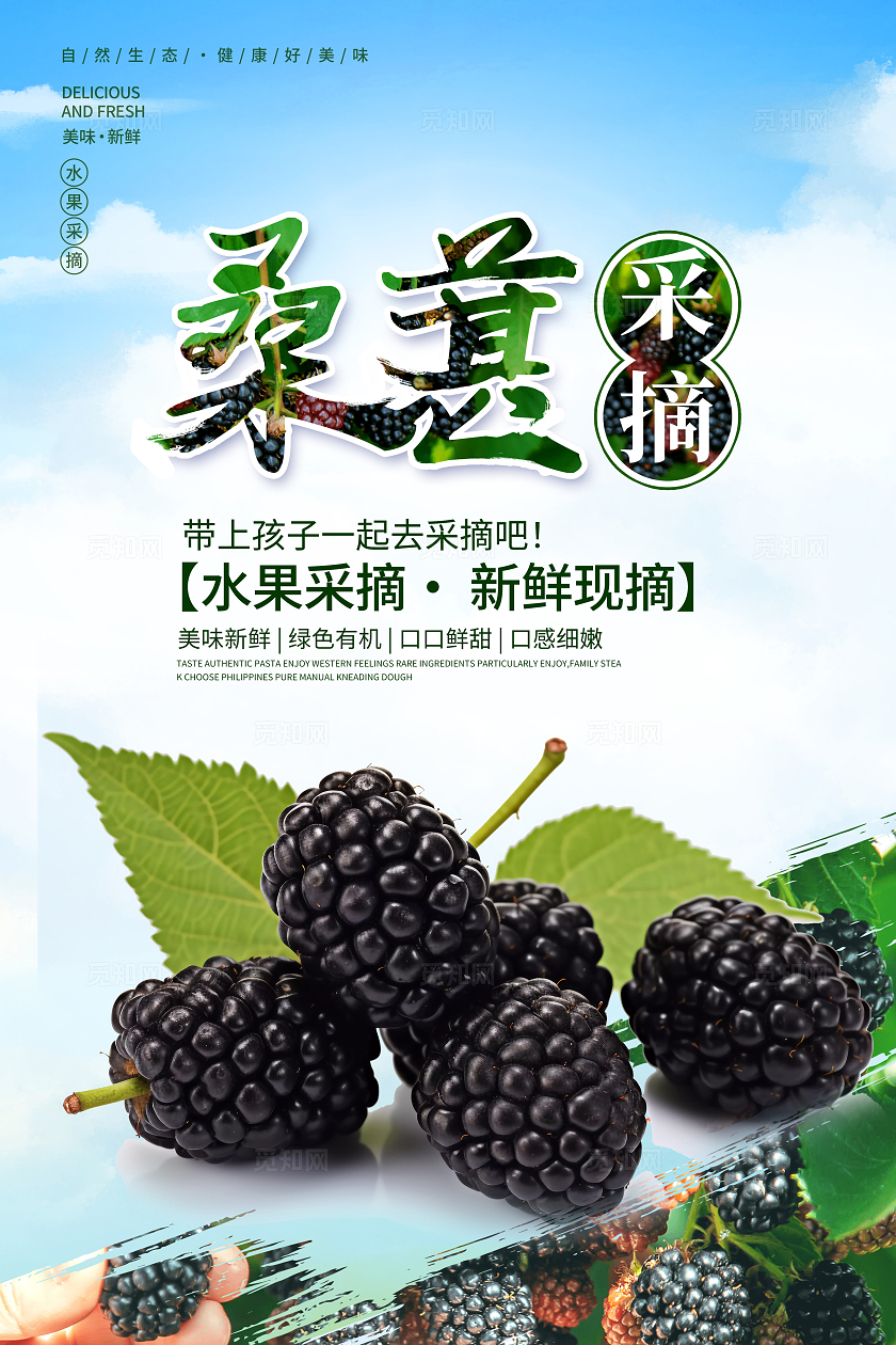 蓝色时尚桑葚采摘水果采摘海报设计