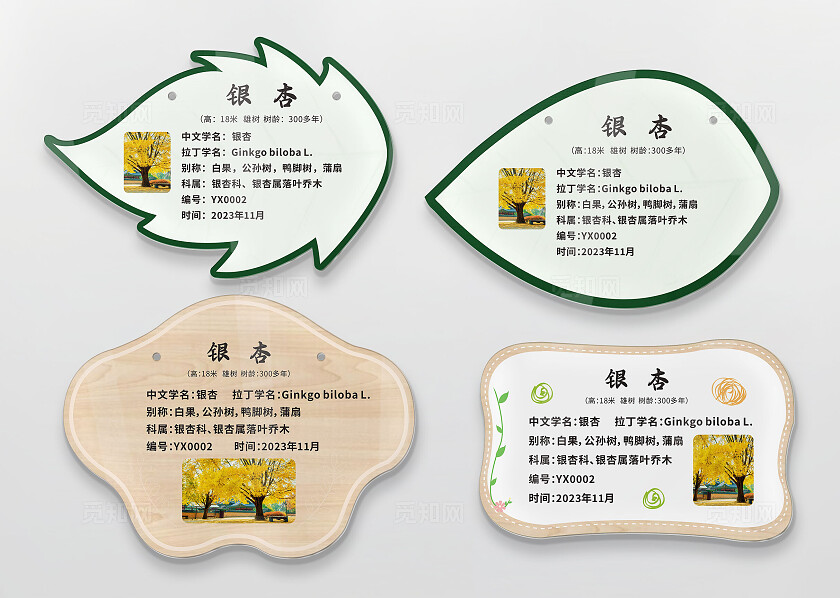 树木介绍牌花草牌叶子造型