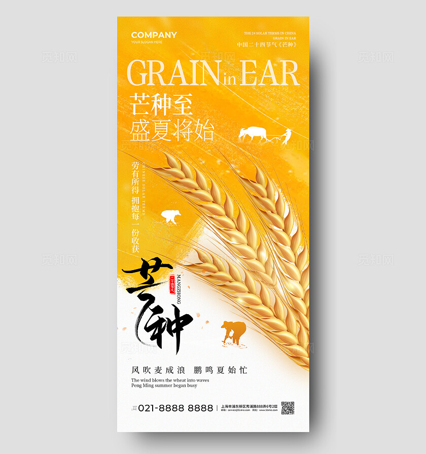 黄色简约二十四节气芒种节气手机宣传海报