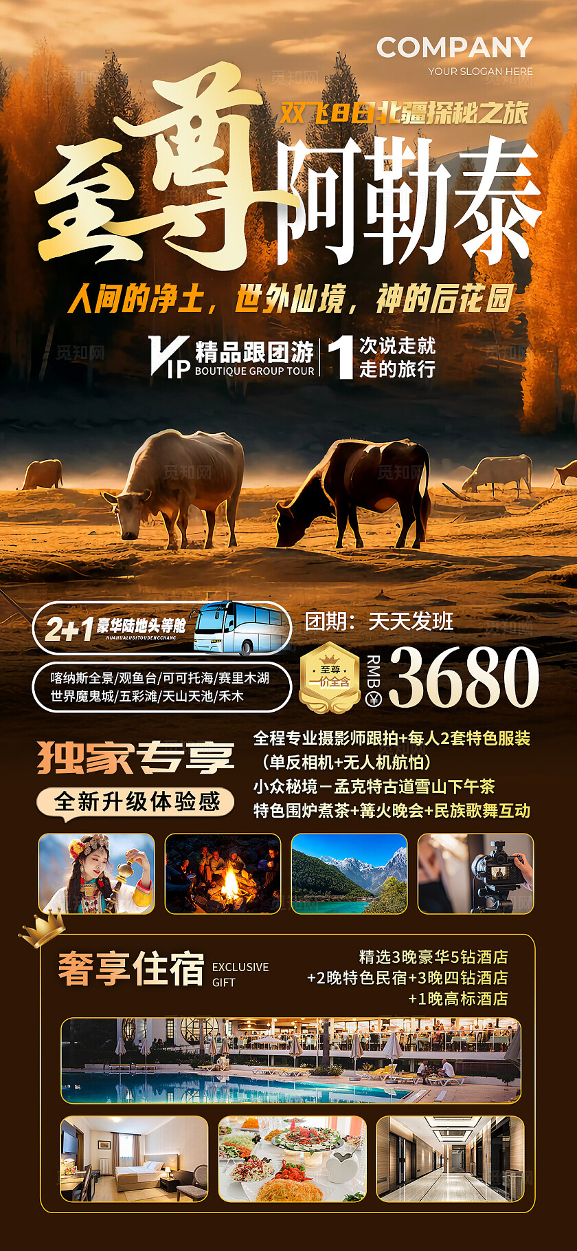 棕色实拍至尊阿勒泰阿勒泰旅游手机文案海报