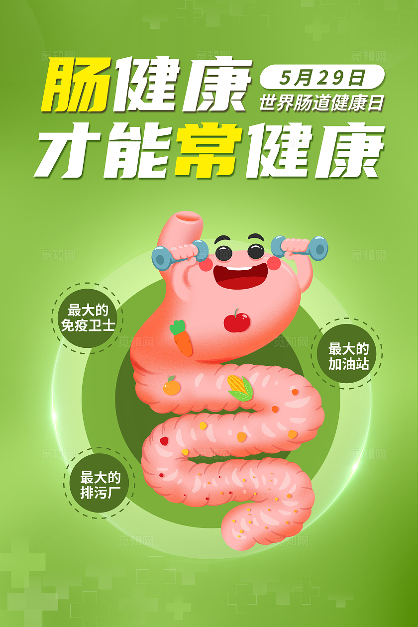 肠健康才能常健康套图展板肠道健康