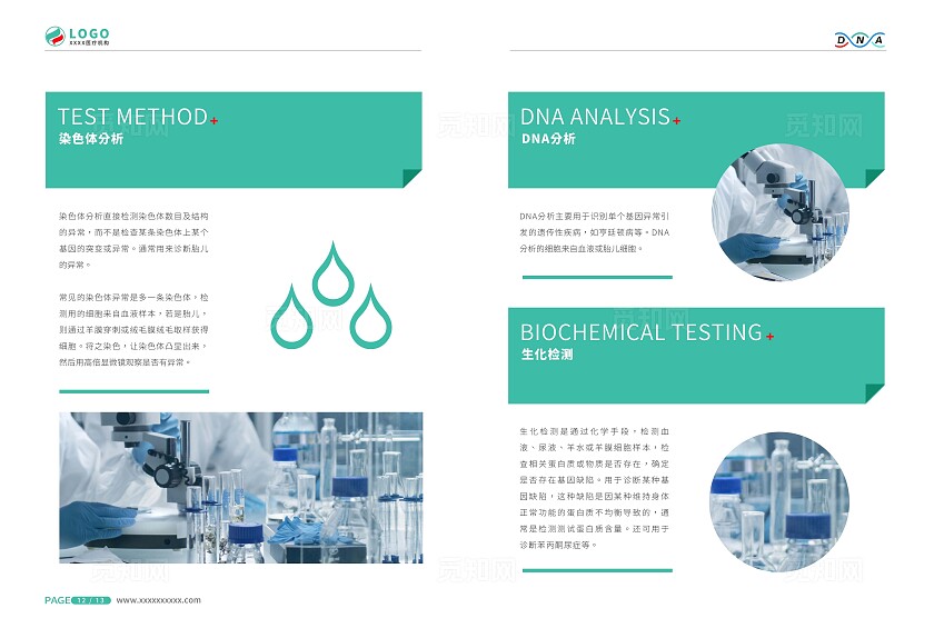 绿色清新简约医疗DNA技术类画册医疗产品宣传