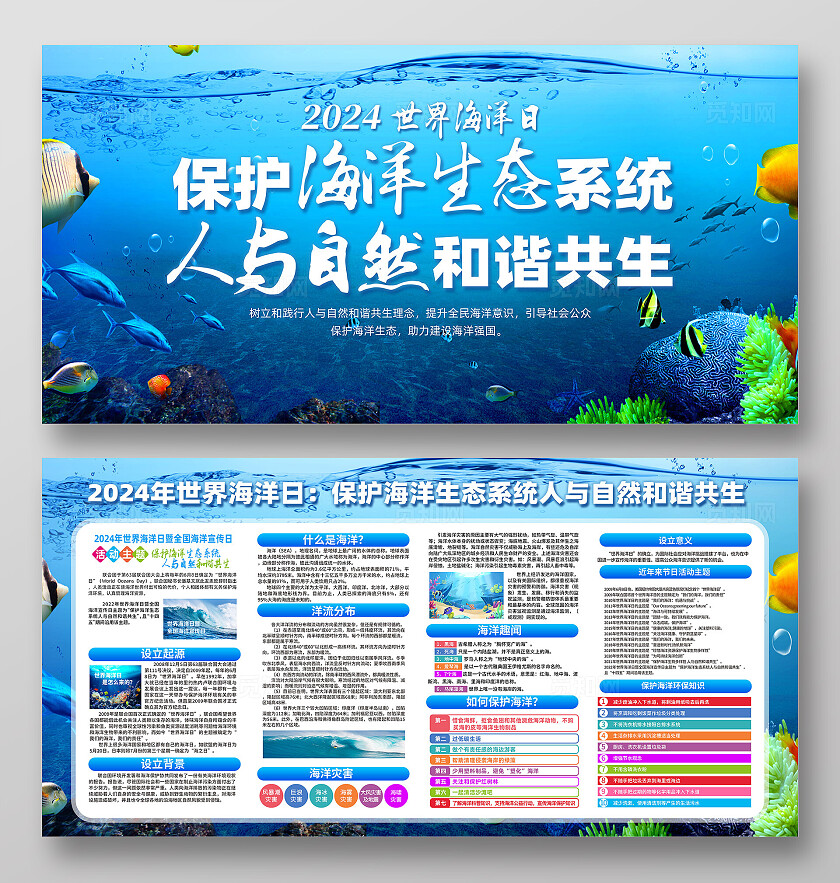 蓝色简约2024世界海洋日保护海洋生态系统展板宣传