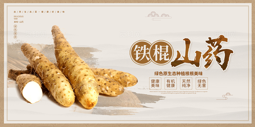 传统大气铁棍山药宣传展板设计