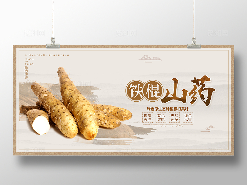 传统大气铁棍山药宣传展板设计