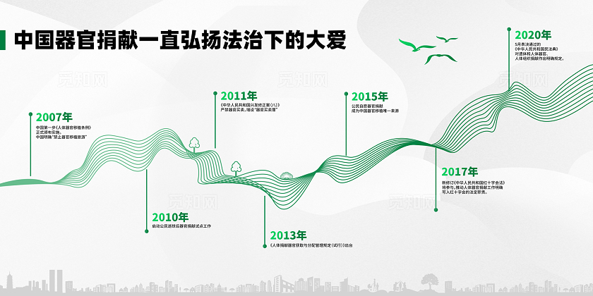 绿色人体器官捐献和移植历程展板海报公益科普宣传栏移植条例人体器官捐献和移植条例