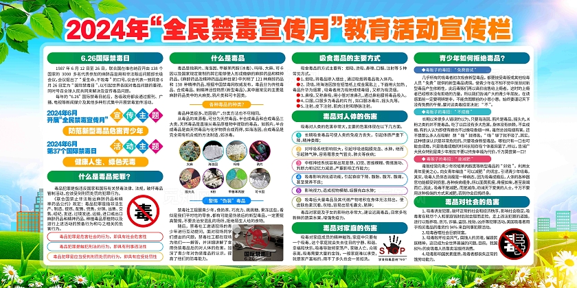 2024年全民禁毒宣传月国际禁毒日禁毒知识宣传展板