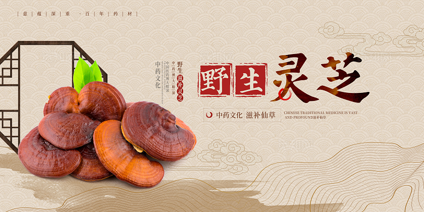 传统中国风中药灵芝宣传展板设计