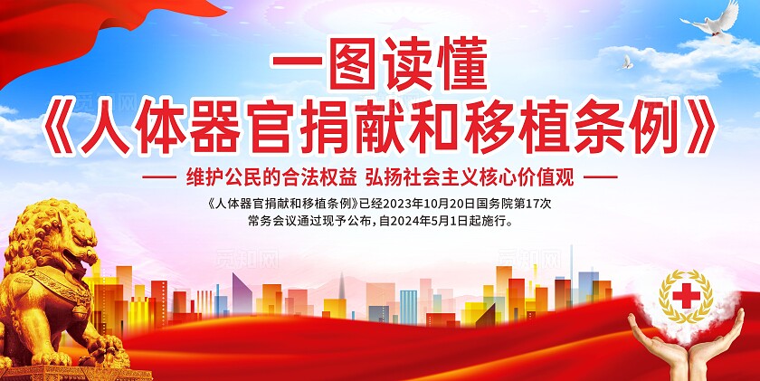 人体器官捐赠条例人体器官捐献和移植条例宣传栏