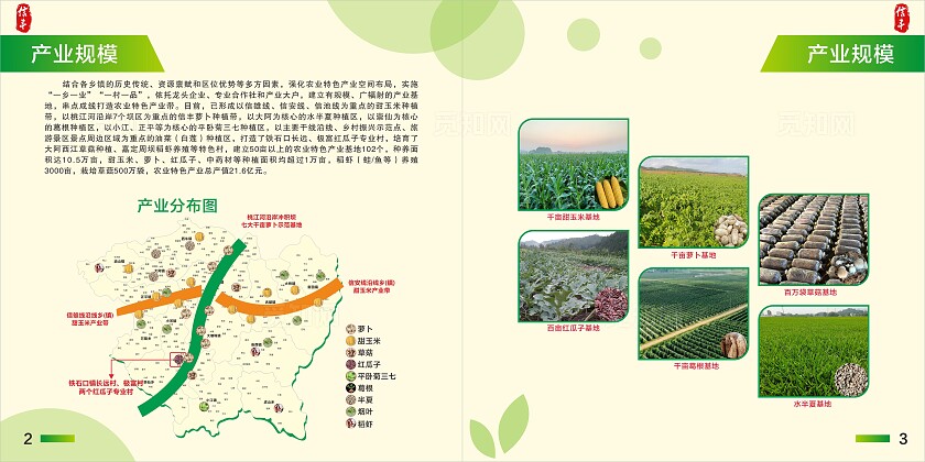 淡黄 绿色简约大气信丰县农业特色产业发展图册 农业画册