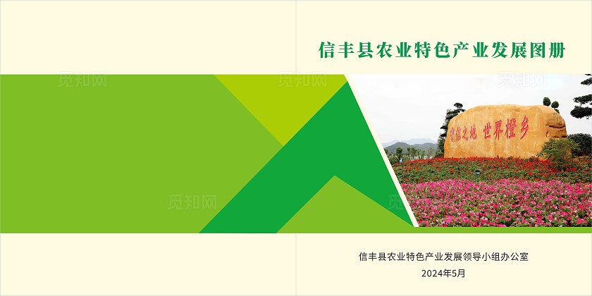 淡黄 绿色简约大气信丰县农业特色产业发展图册 农业画册
