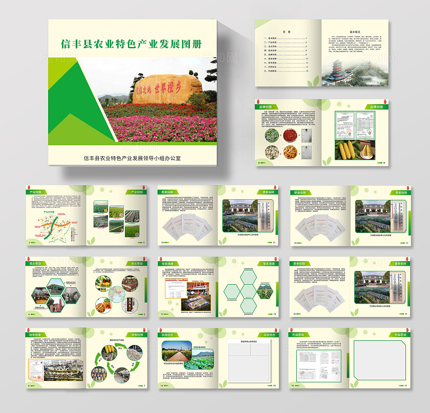 淡黄 绿色简约大气信丰县农业特色产业发展图册 农业画册