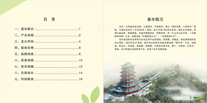 淡黄 绿色简约大气信丰县农业特色产业发展图册 农业画册