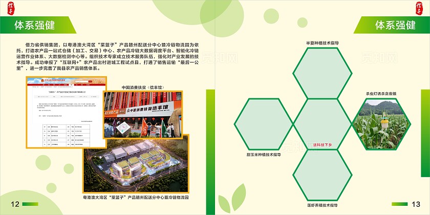 淡黄 绿色简约大气信丰县农业特色产业发展图册 农业画册