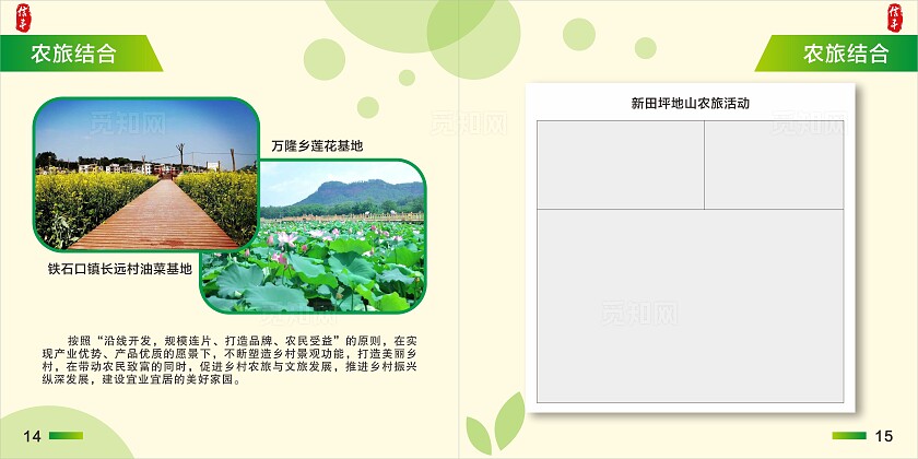 淡黄 绿色简约大气信丰县农业特色产业发展图册 农业画册