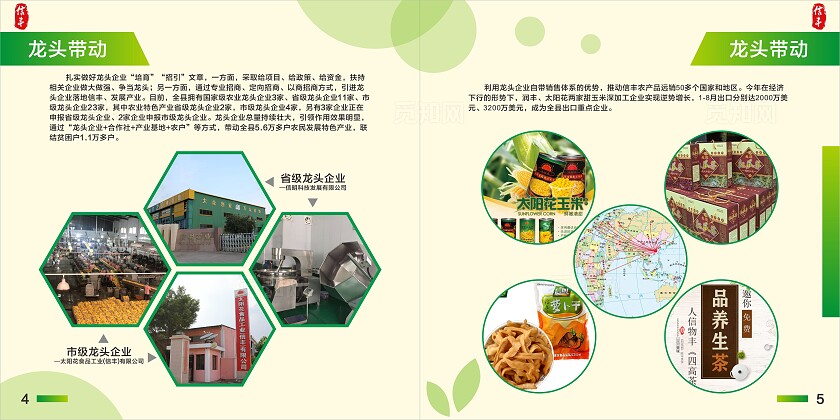 淡黄 绿色简约大气信丰县农业特色产业发展图册 农业画册