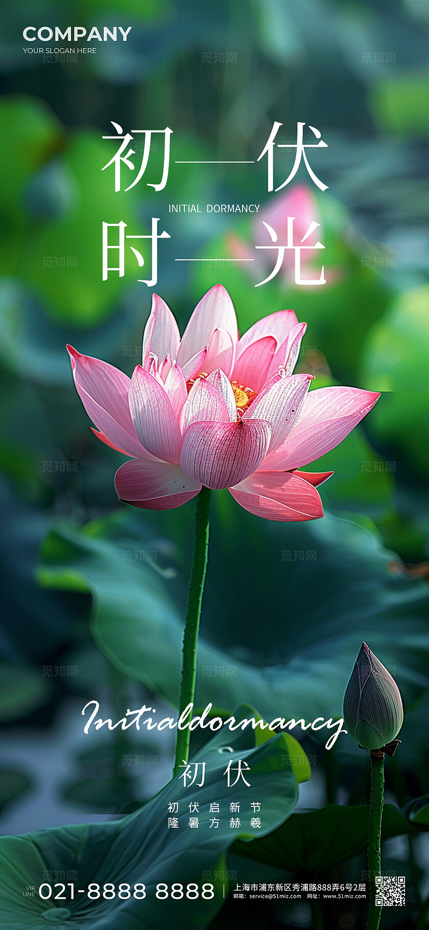 摄影实拍风初伏中伏末伏手机宣传海报套图