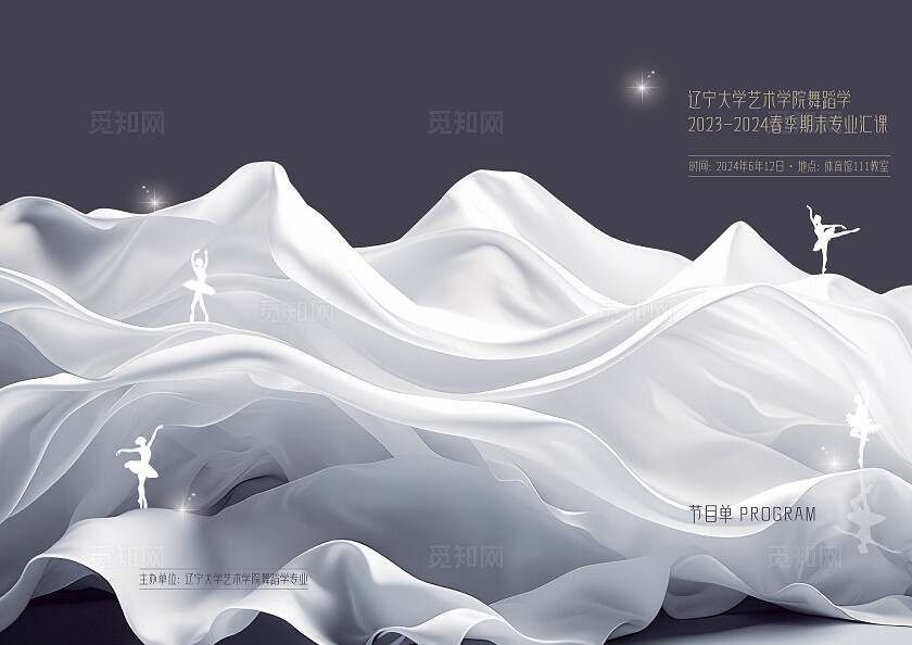 高级灰 超唯美 舞蹈晚会 折页设计