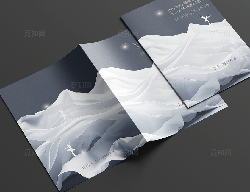 高级灰 超唯美 舞蹈晚会 折页设计